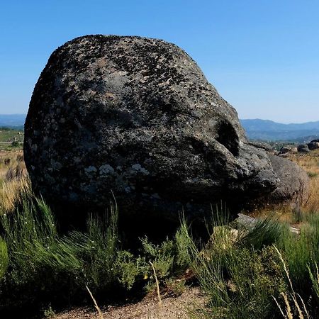 Quinta Do Chaozinho Villa Alijó Dış mekan fotoğraf