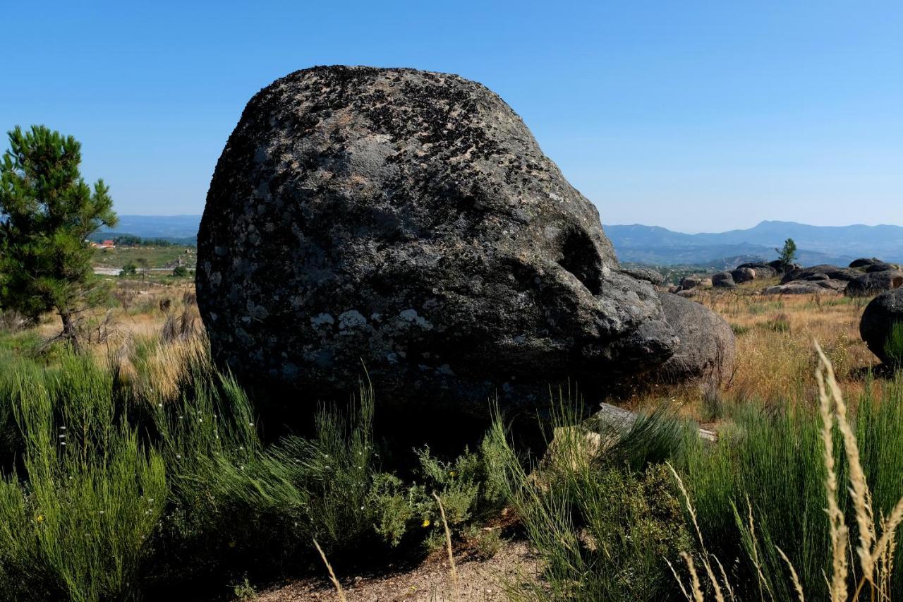Quinta Do Chaozinho Villa Alijó Dış mekan fotoğraf