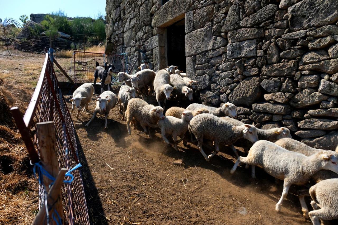 Quinta Do Chaozinho Villa Alijó Dış mekan fotoğraf